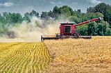 Harvesting A Field_P1020644